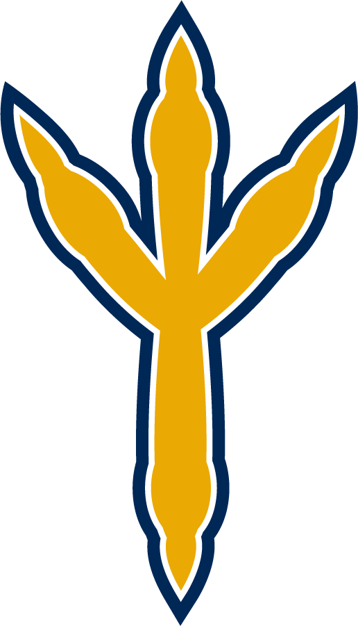 Chattanooga Mocs 2014-Pres Alternate Logo diy iron on heat transfer